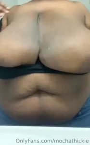 18265040
