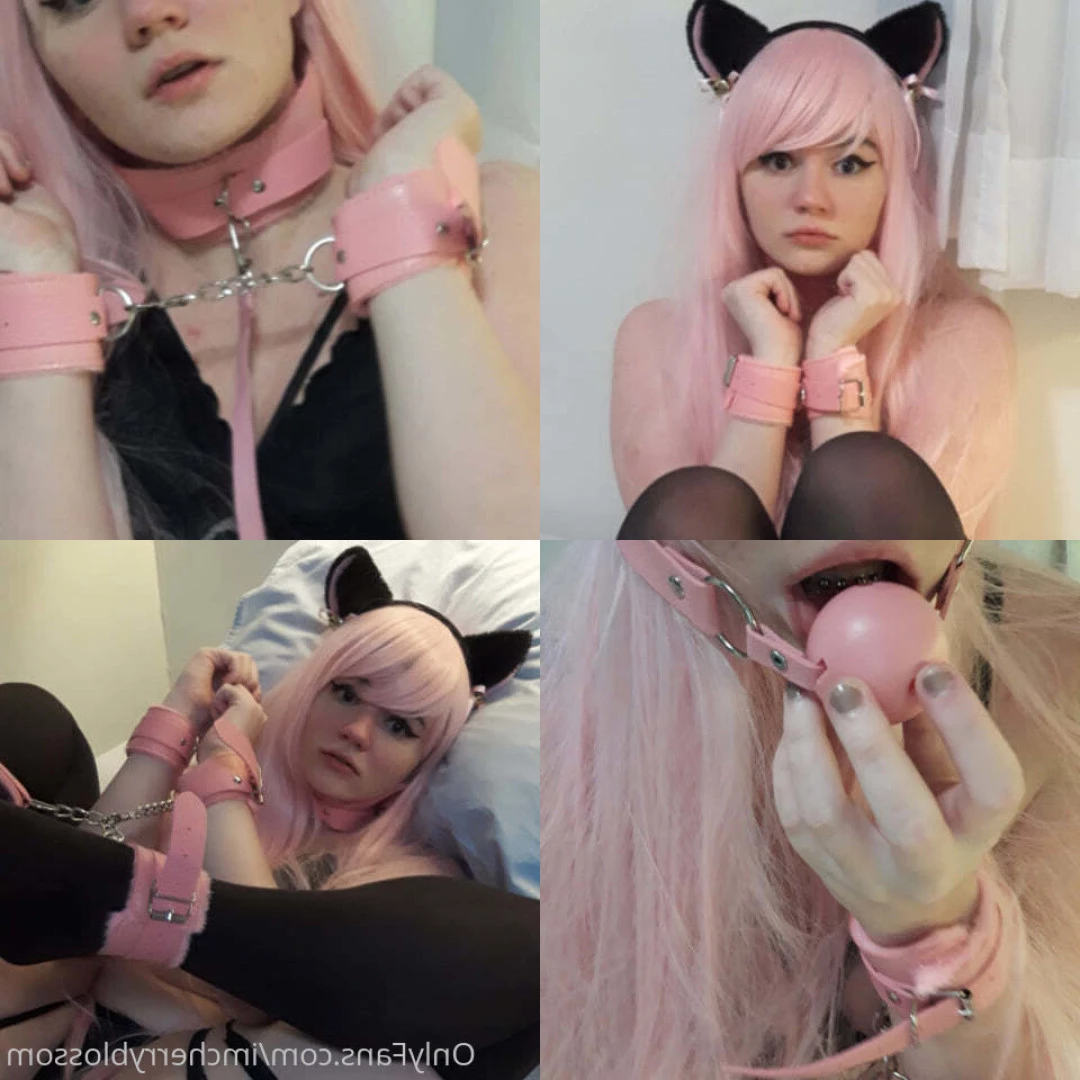 Cherry Blossom [ imcherryblossom ] Onlyfans leaked photo 6325617 on Hotleaks.tv