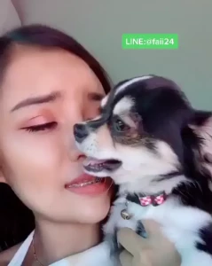Im Faii [ imfaii ] Onlyfans leaked video 1493128 on Hotleaks.tv