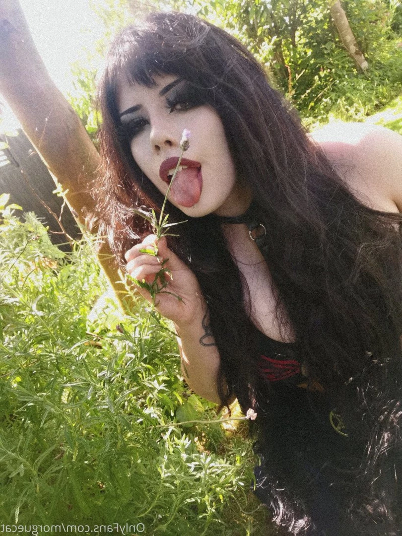 morguecat Onlyfans leaked photo 5321302 on Hotleaks.tv