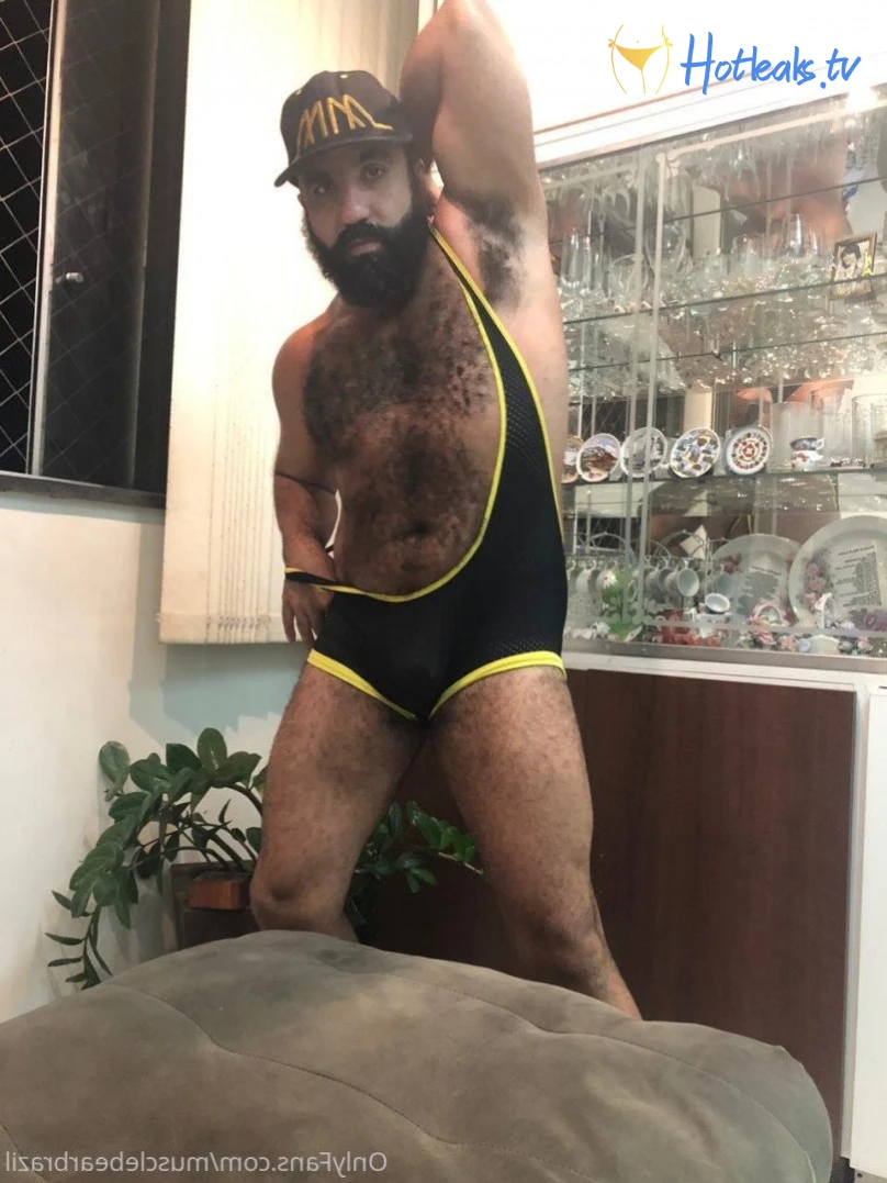 musclebearbrazil Onlyfans leaked photo 5378039 on Hotleaks.tv