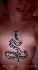 18264148