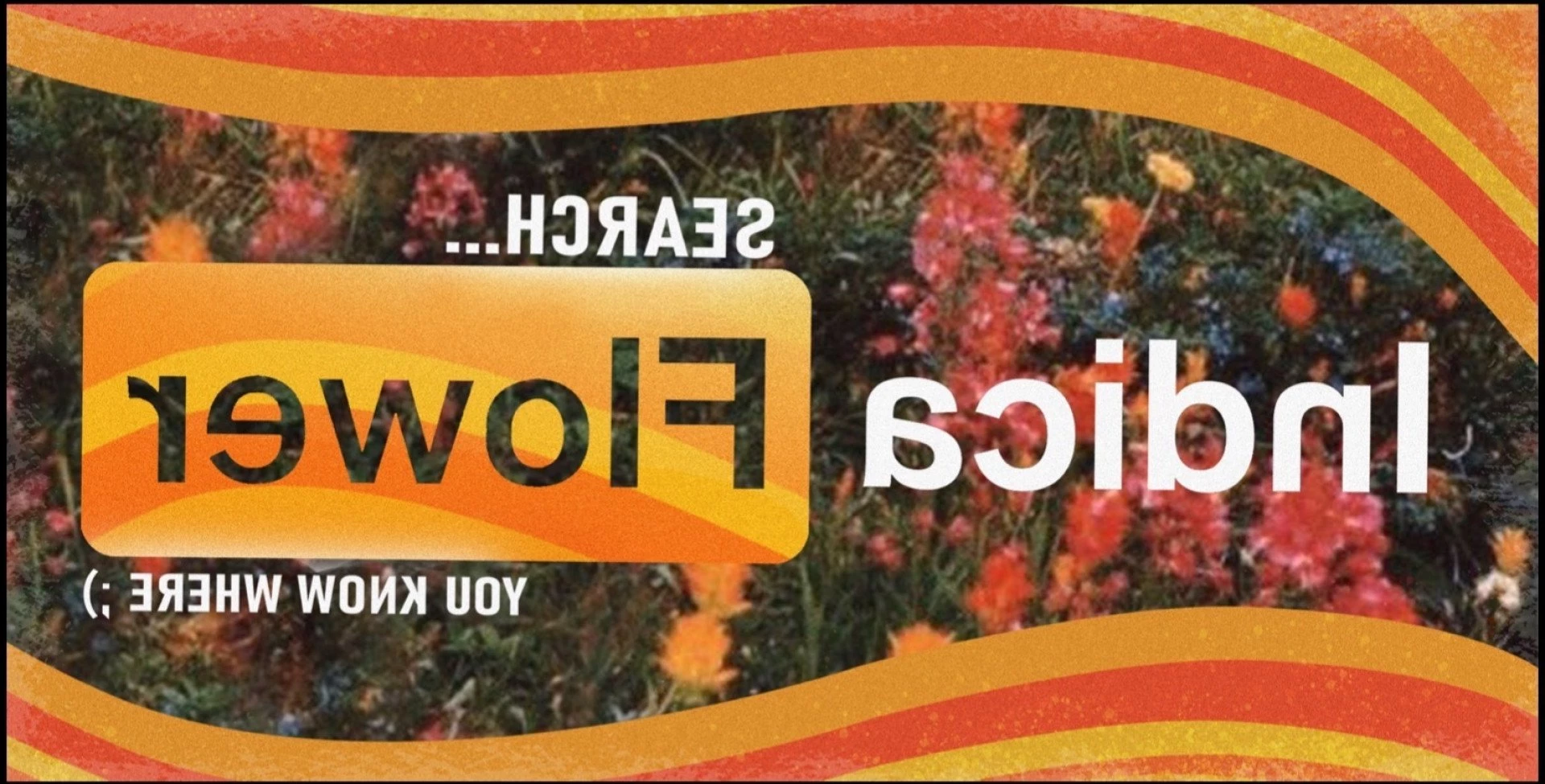 Indica Flower 💫 [ indicaflower ] Onlyfans leaked photo 2105740 on Hotleaks.tv