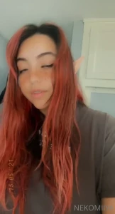 8667196
