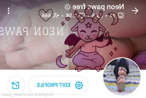 5273603