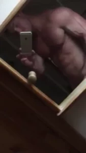 18263827