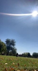 8666661