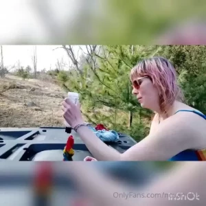 18263667
