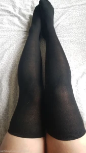 5291741