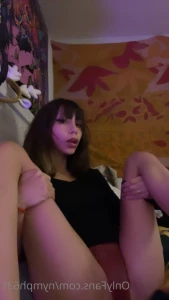 16265684