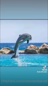 5255279