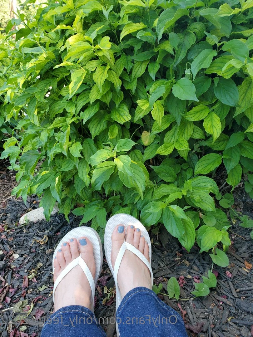 only_feetpc2022 Onlyfans leaked photo 5309424 on Hotleaks.tv