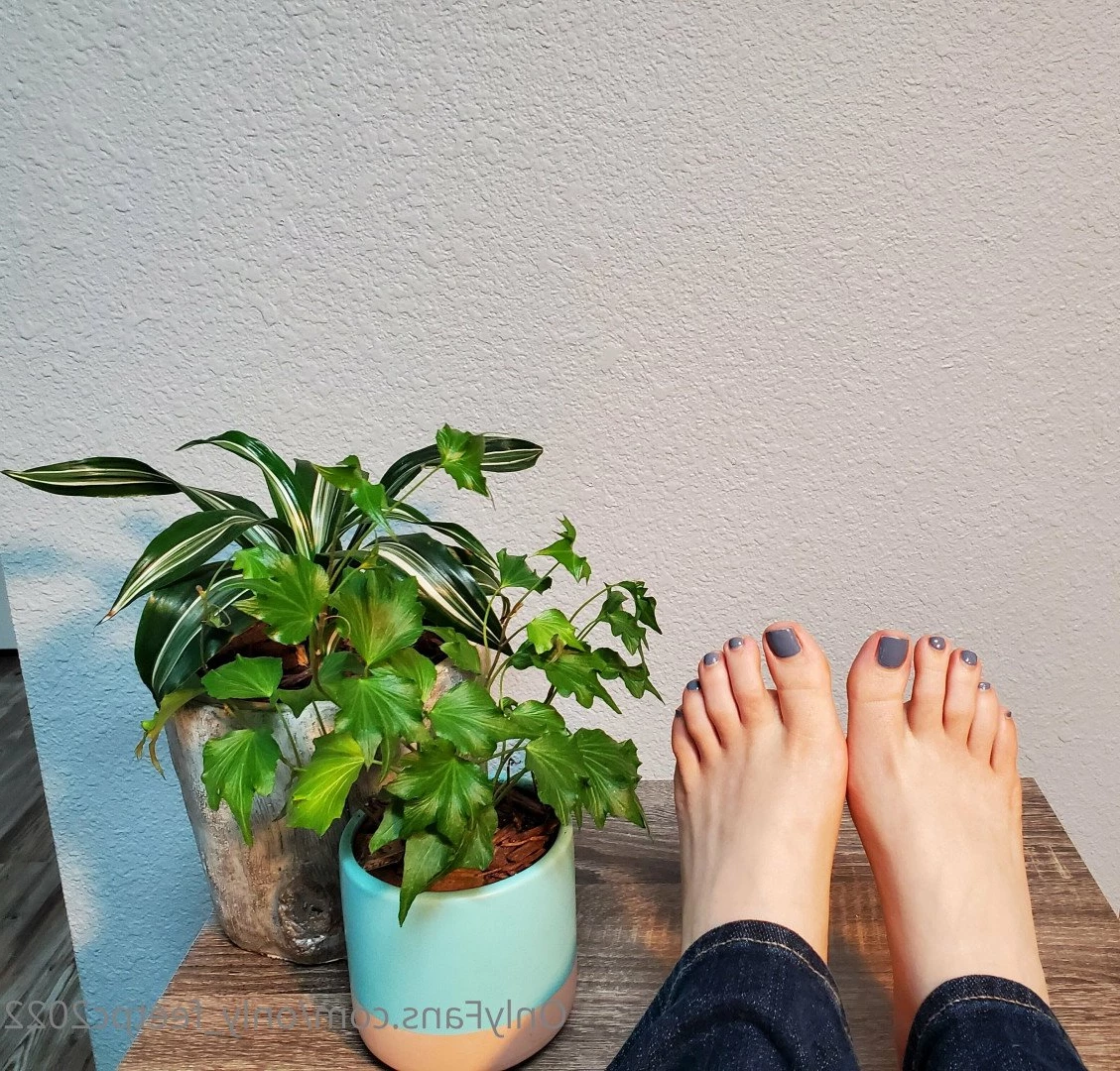 only_feetpc2022 Onlyfans leaked photo 5309440 on Hotleaks.tv