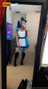 16036624