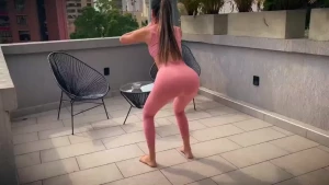 18263013