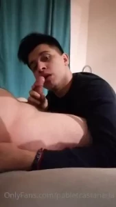 18262931