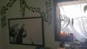 pageofscrolls Onlyfans leaked video 5280100 on Hotleaks.tv