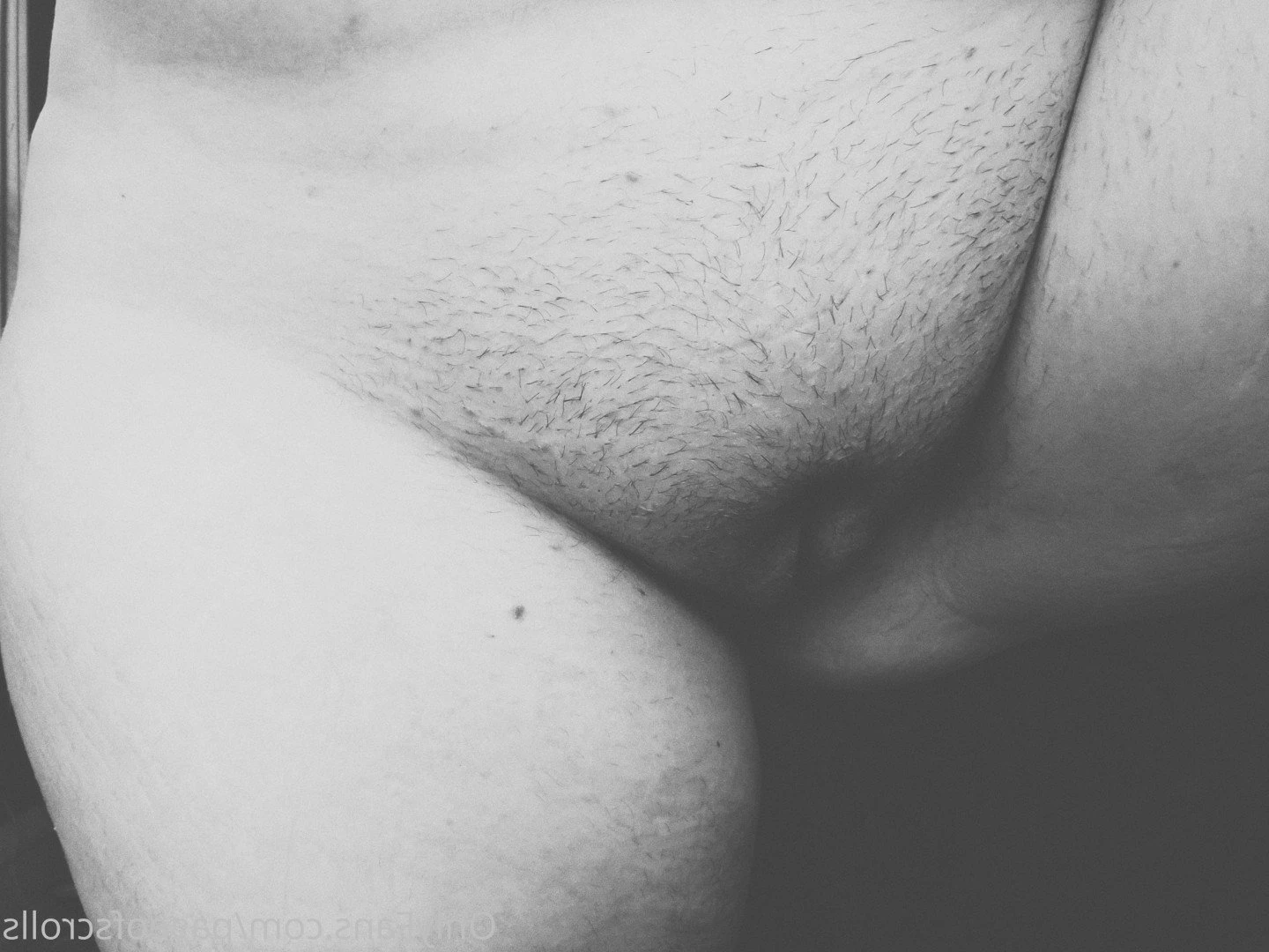 pageofscrolls Onlyfans leaked photo 5501603 on Hotleaks.tv