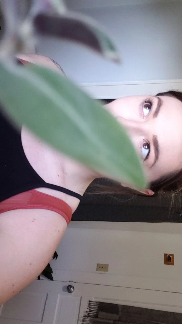 pageofscrolls Onlyfans leaked photo 5506549 on Hotleaks.tv