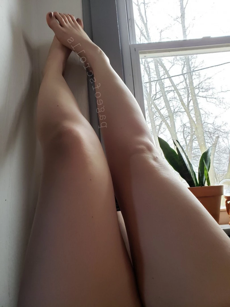 pageofscrolls Onlyfans leaked photo 5510395 on Hotleaks.tv