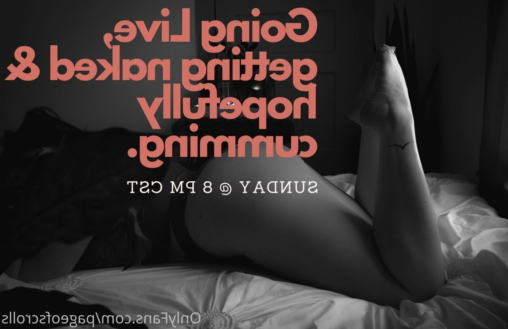 pageofscrolls Onlyfans leaked photo 5518580 on Hotleaks.tv