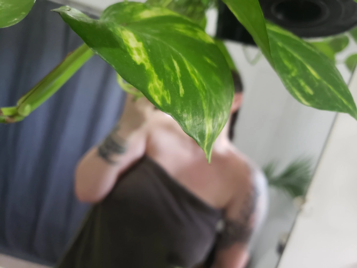 pageofscrolls Onlyfans leaked photo 5519656 on Hotleaks.tv