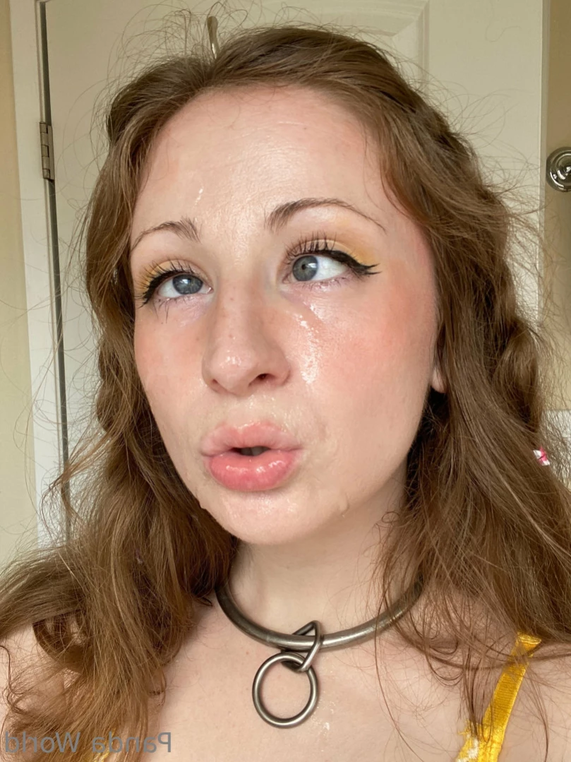 Lord Panda [ pandaworld ] Onlyfans leaked photo 13134192 on Hotleaks.tv
