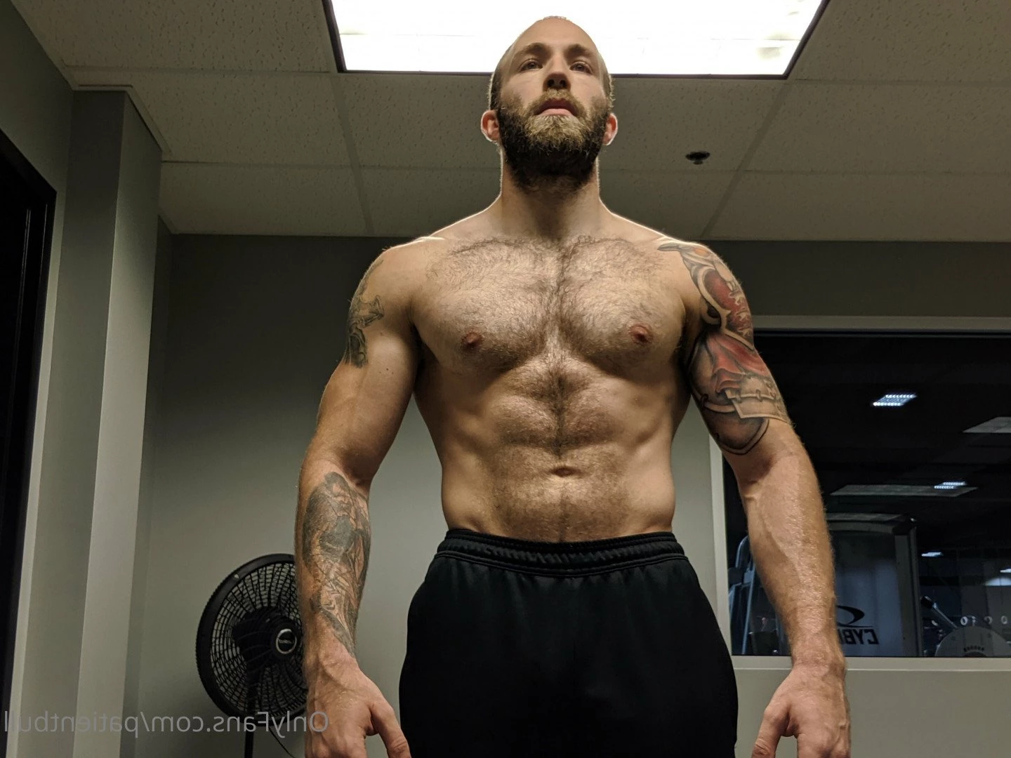Paul [ beard-daddy88 ] Onlyfans leaked photo 5354151 on Hotleaks.tv
