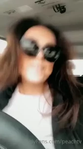 18262391