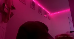 5290679