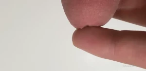 5298005