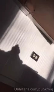 18261194
