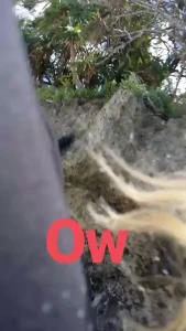 Kayla Erin [ itskaylaerin ] Onlyfans leaked video 4775540 on Hotleaks.tv