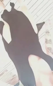 Kayla Erin [ itskaylaerin ] Onlyfans leaked video 4775562 on Hotleaks.tv