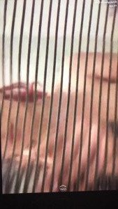 Kayla Erin [ itskaylaerin ] Onlyfans leaked video 4775700 on Hotleaks.tv