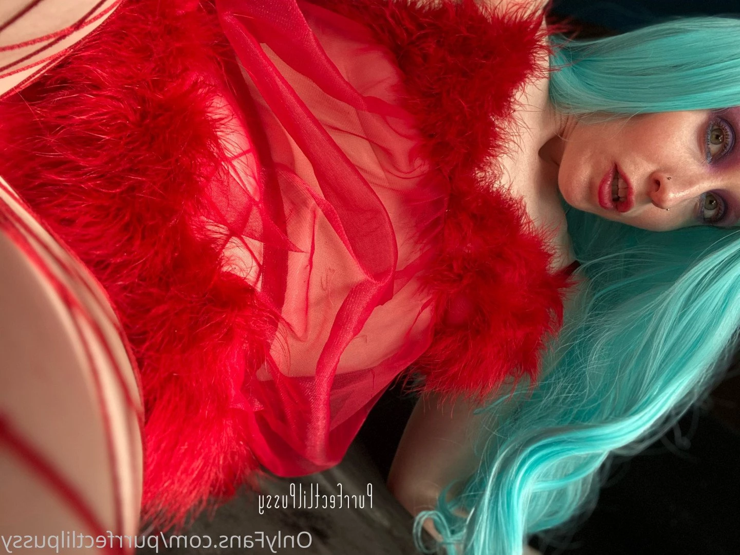 PLP [ purrfectlilpussy ] Onlyfans leaked photo 5437139 on Hotleaks.tv