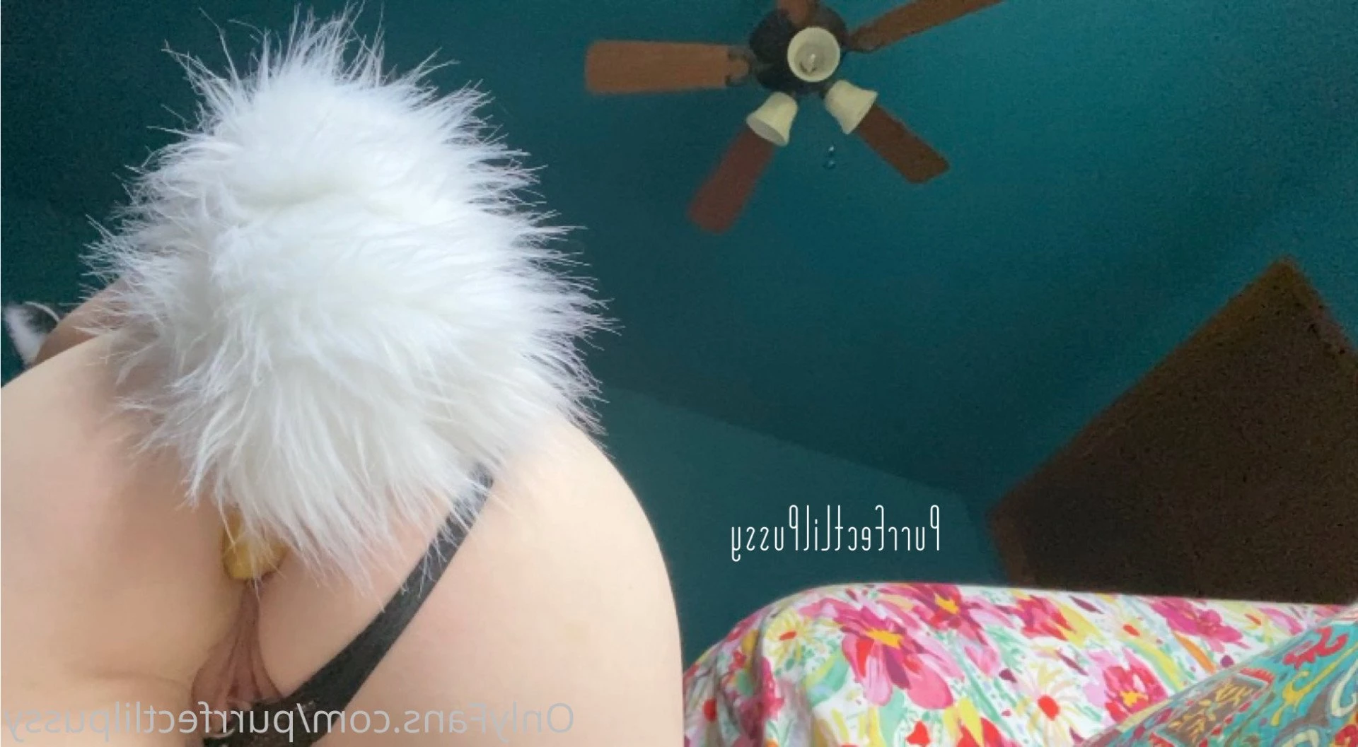 PLP [ purrfectlilpussy ] Onlyfans leaked photo 5438519 on Hotleaks.tv