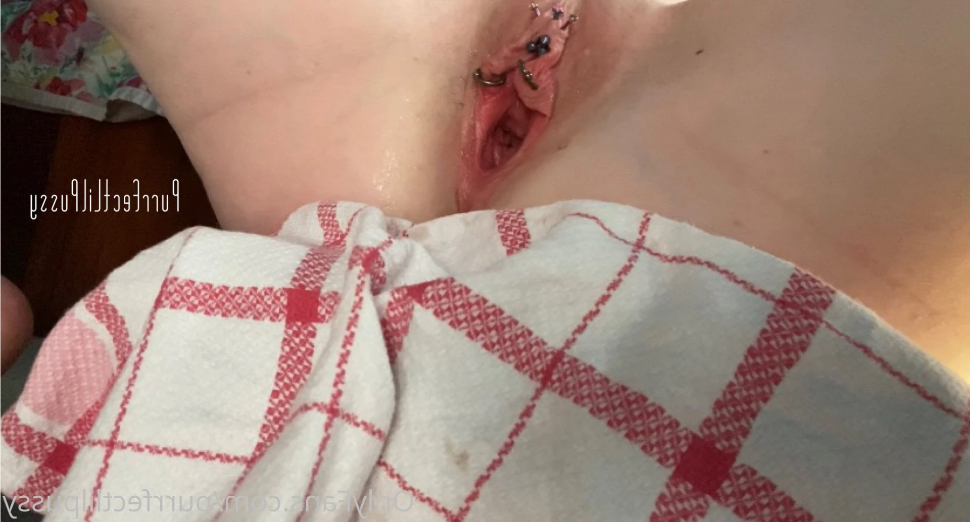 PLP [ purrfectlilpussy ] Onlyfans leaked photo 5439406 on Hotleaks.tv