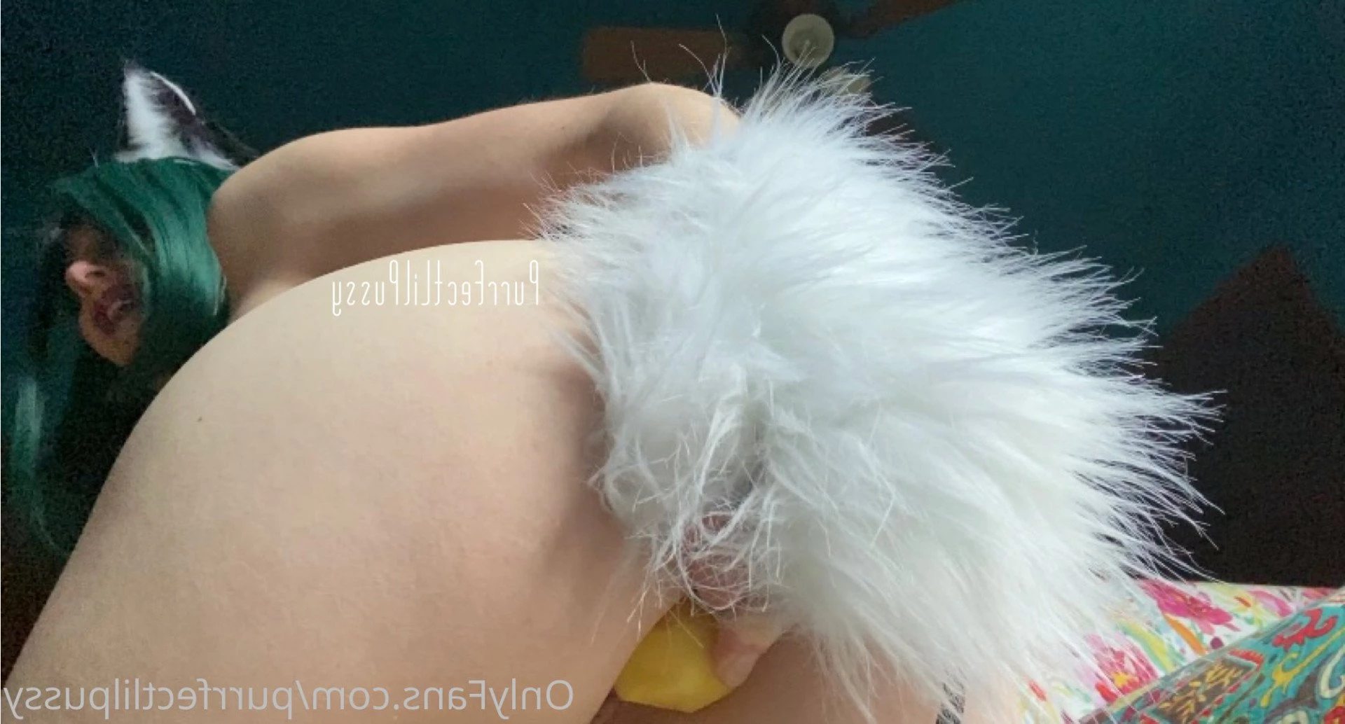 PLP [ purrfectlilpussy ] Onlyfans leaked photo 5439605 on Hotleaks.tv
