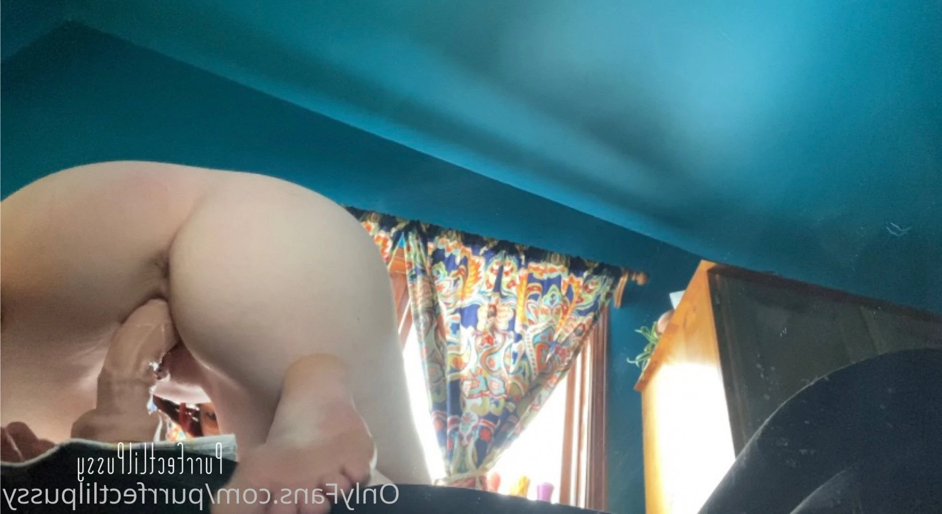 PLP [ purrfectlilpussy ] Onlyfans leaked photo 5441521 on Hotleaks.tv