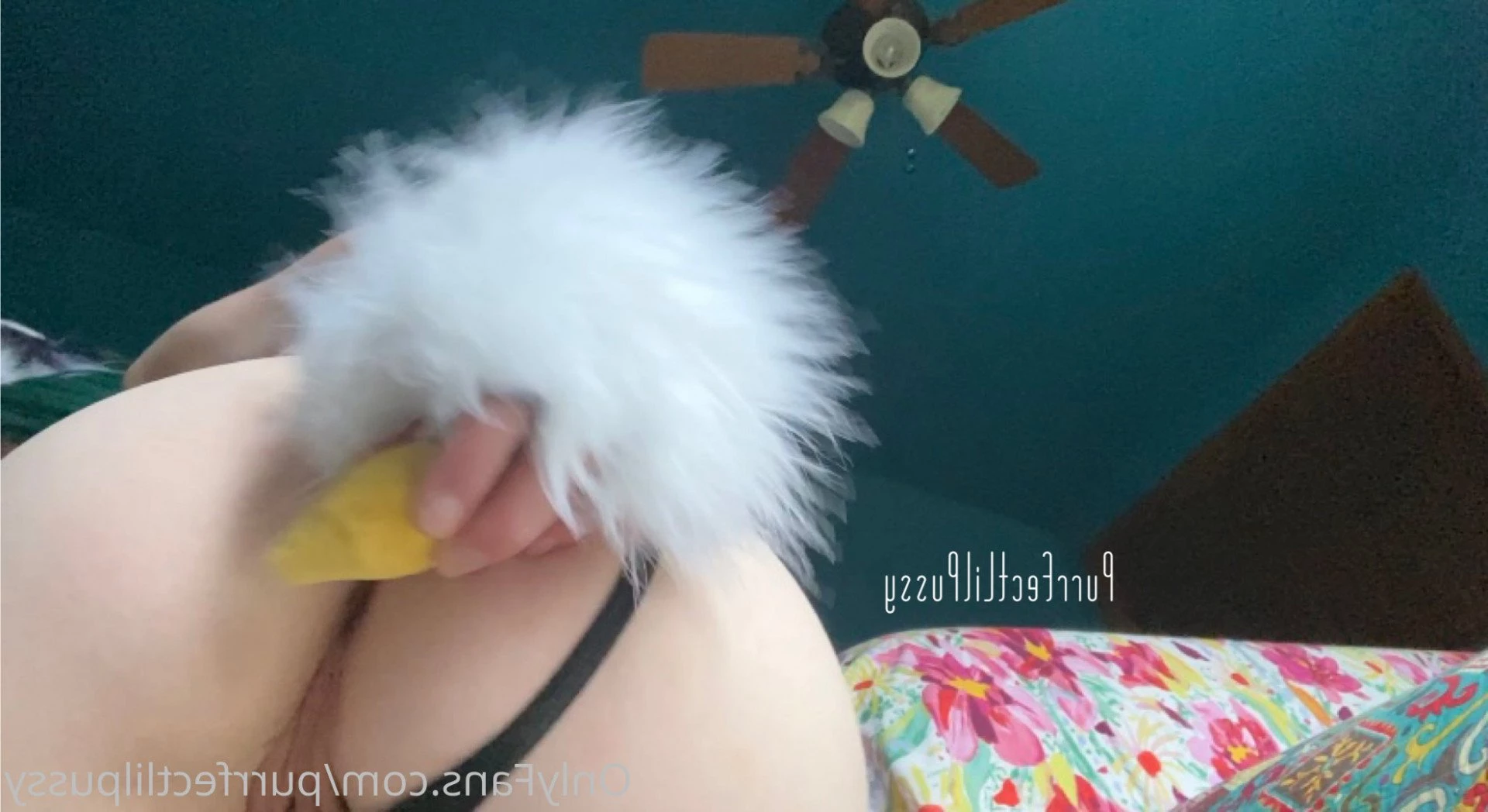 PLP [ purrfectlilpussy ] Onlyfans leaked photo 5442076 on Hotleaks.tv