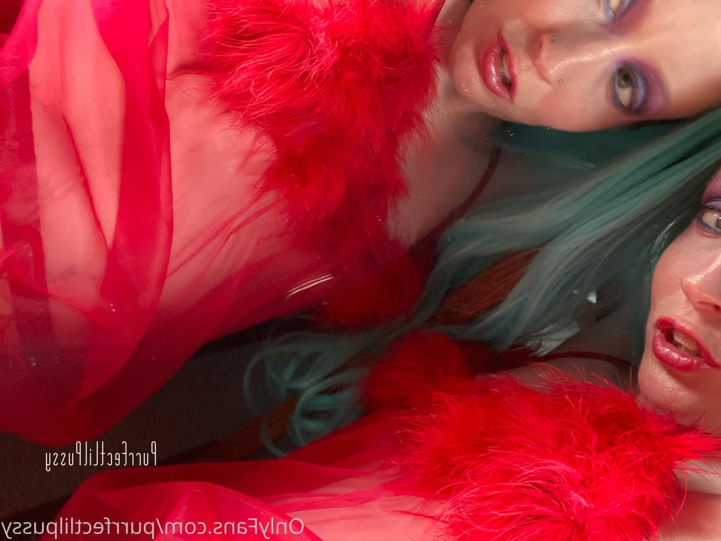 PLP [ purrfectlilpussy ] Onlyfans leaked photo 5443183 on Hotleaks.tv