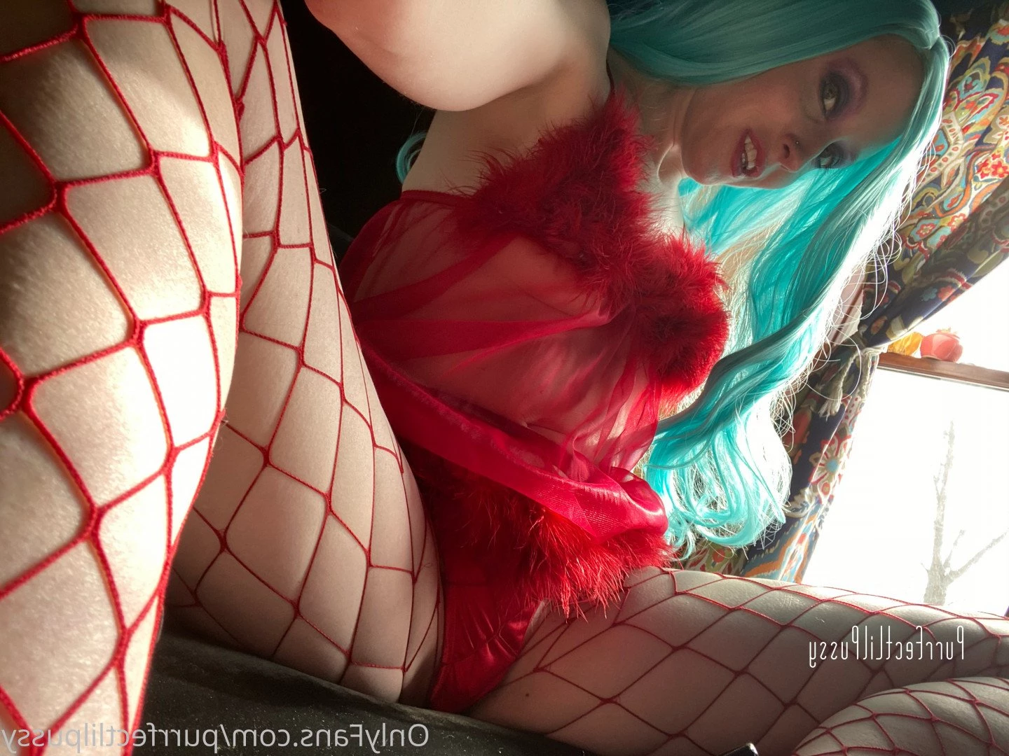PLP [ purrfectlilpussy ] Onlyfans leaked photo 5444979 on Hotleaks.tv