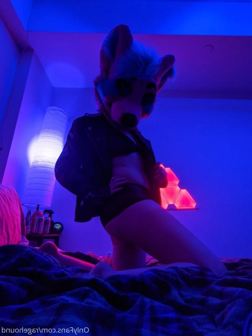 ragehound Onlyfans leaked photo 5296166 on Hotleaks.tv