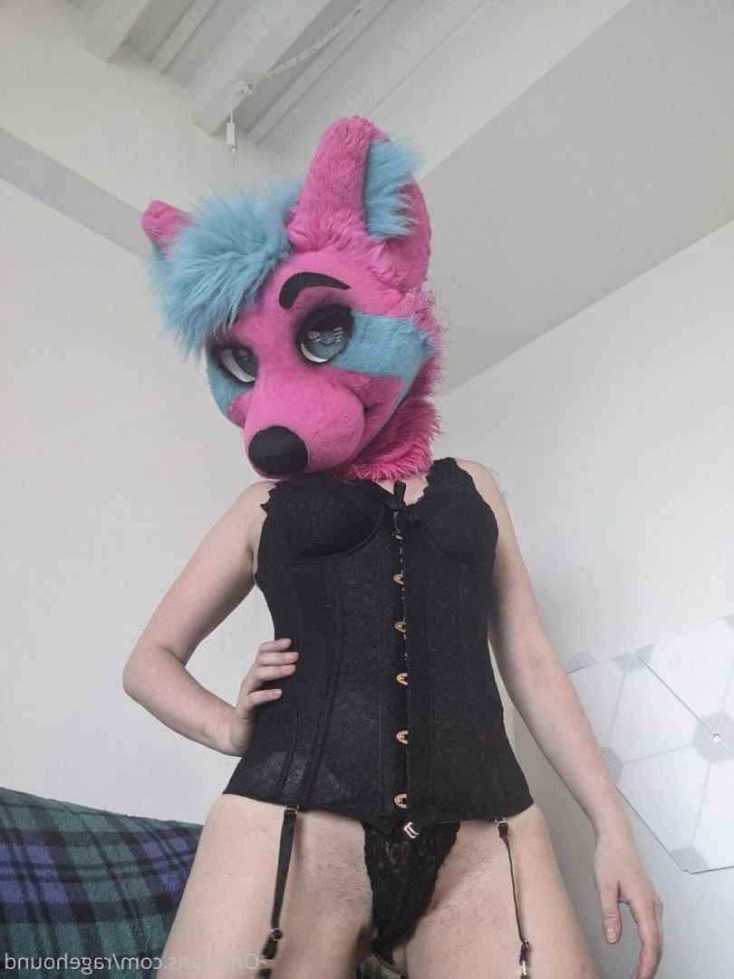 ragehound Onlyfans leaked photo 5296199 on Hotleaks.tv