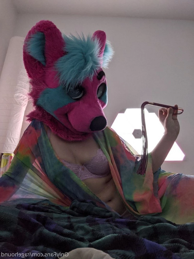 ragehound Onlyfans leaked photo 5296323 on Hotleaks.tv