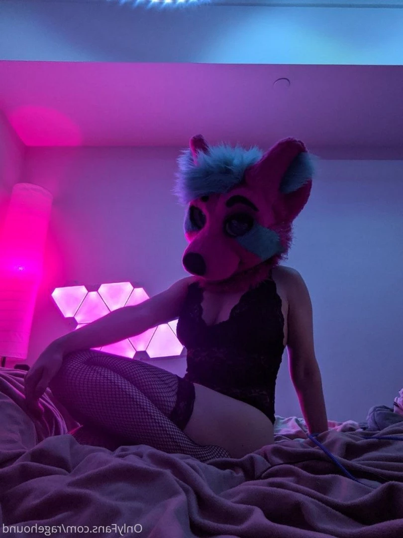 ragehound Onlyfans leaked photo 5296567 on Hotleaks.tv