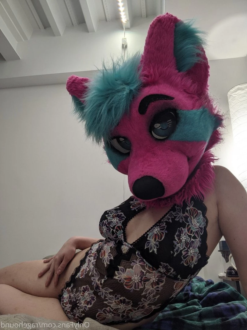 ragehound Onlyfans leaked photo 5297074 on Hotleaks.tv
