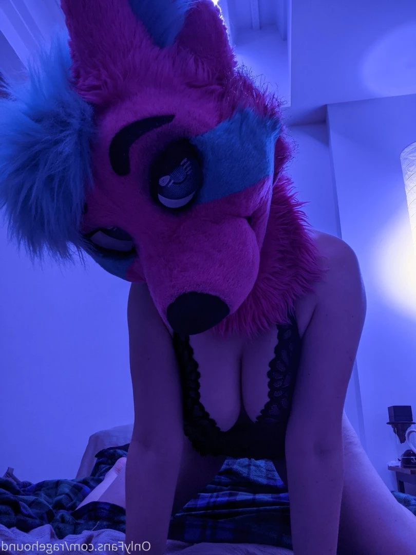 ragehound Onlyfans leaked photo 5297175 on Hotleaks.tv