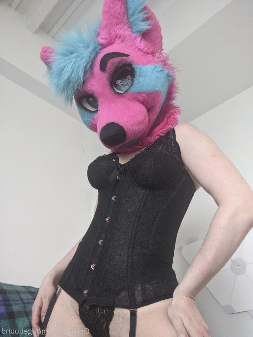 ragehound Onlyfans leaked photo 5297730 on Hotleaks.tv